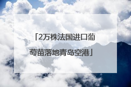 2万株法国进口葡萄苗落地青岛空港