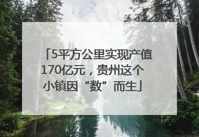 5平方公里实现产值170亿元，贵州这个小镇因“数”而生