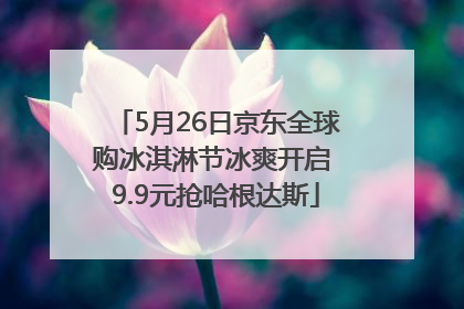 5月26日京东全球购冰淇淋节冰爽开启 9.9元抢哈根达斯