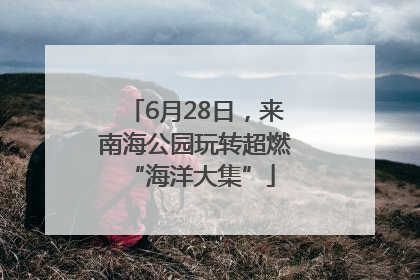 6月28日，来南海公园玩转超燃 “海洋大集”