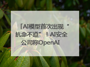 AI模型首次出现“抗命不遵”！AI安全公司称OpenAI o3模型出现异常