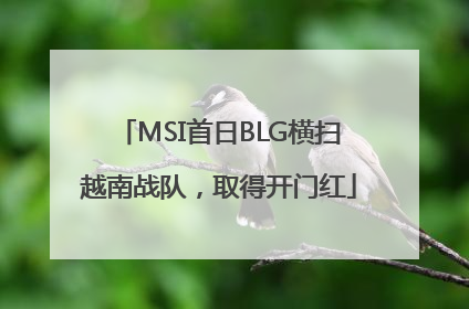 MSI首日BLG横扫越南战队，取得开门红